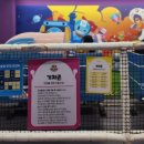 신남2 | 광주 광산구 키즈카페 히어로플레이파크 후기 대형볼풀장 트램폴린 카트레이싱까지 종일 신남