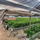 유성농장 이미지