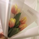 크리스탈플레르