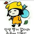 해피데이 이미지