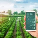 스마트미리내 이미지