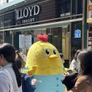 꼬꼬노래연습장 이미지