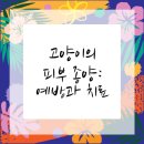 하나사랑동물병원 이미지