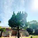 스테이애옥 이미지