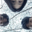 이닝슈 이미지