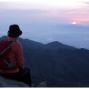 일출로2 이미지