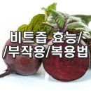 비트