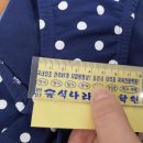 마이트릿 | 소소한 일상 20221114~1127 (트롤리피치링스,센티수영복,마레스오리발,자가키트,후그수영복,히지수영복...
