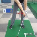 골프신지환 이미지