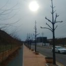 속초바다의원 이미지