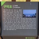 울산역 전구간 | &#34;그린레일웨이&#34;를 걷다.
