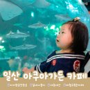 아쿠아가든카페 - 양주시 천보산로5번길 3 | 일산 <아쿠아가든 카페> 후기, 비 오는 날 아이와 가기 좋은 실내 나들이