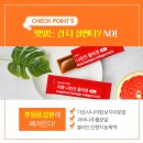 디자몽 이미지