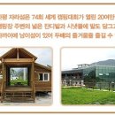 개미카 이미지