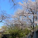 달성공원 동물병원 이미지