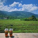 장원웰빙오리 | 3박 4일 하동여행코스 총정리 / 숙소, 맛집, 가볼만한 곳 모음