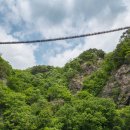 출렁다리 이미지