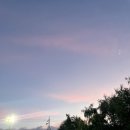 자경한의원 | 온골테니스장 ㅣ테린이의 5개월차 ㅣ박신구코치님ㅣ테니스레슨 후기 겸 일상