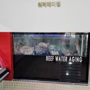 서우축산 | [홍천 서우축산]홍천 새로생긴 정육점 서우축산 고기백화점 방문 후기