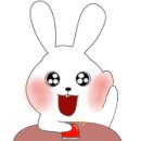 레이브릭스24