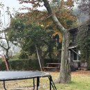 씨유 경주시래불국점 | [경주] 불국사 근처 분위기 좋은 호수뷰 가성비 펜션 경주 숙소 추천, 베니아펜션