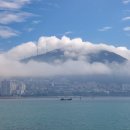 해무(海霧) 이미지