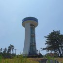 제587차 [송년산행] 충남 태안백화산(284m).구름다리/만리포해수욕장. 뭍닭섬해안둘레길(12/24 넷째주일) 초대합니다 이미지