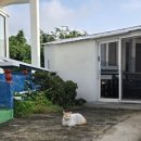 제주의꿈 | 제주 혼자 여행 추천_내돈내산 한낮의꿈 후기 🏡