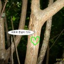 태화haccp주방 티스토리