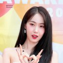 신비체육관 이미지