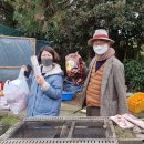 김대중농장 이미지