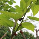 산흥초교 이미지