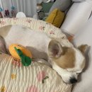 유폴 평택지제역점 이미지