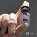 보란파마 서울경제