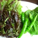 대구갈비 이미지