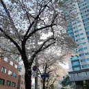 서초중앙로2길 10 (2) | 남부터미널역 카페, 국전카페, 카페라리 서초점