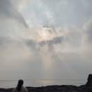 고마워 따봉 돌고래야 ｜제주 돌고래 스팟 영락리방파제 ｜제주 서쪽 에메랄드바다 금능해변 금능...
