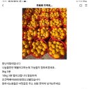 참외 선심 쓰던 놈에게 돈 입금한 회원분 있을까요 이미지