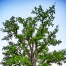 낭만가도 이미지