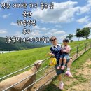 축사목장 | 경남아이와가볼만한 곳 울산 하늘목장 먹이주기 체험 후기 입장료