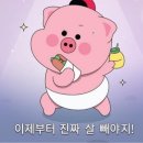 포레스트 스튜디오 네이버블로그