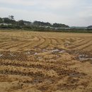 청북 행정사 사무소 이미지