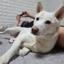 감성커피 대전괴정점