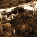 로젠하임 이미지