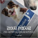 (주)아이닥터커뮤니케이션 | 강아지 관절 사료 추천 가수분해사료 닥터독 베츠초이스