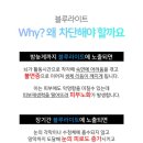 라이트코아 이미지