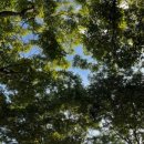 우리은행 앞 이미지