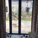 우영팟민박 이미지