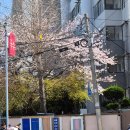 나룻터국수 | [수영강 맛집] 나룻터국수