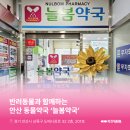 늘봄약국